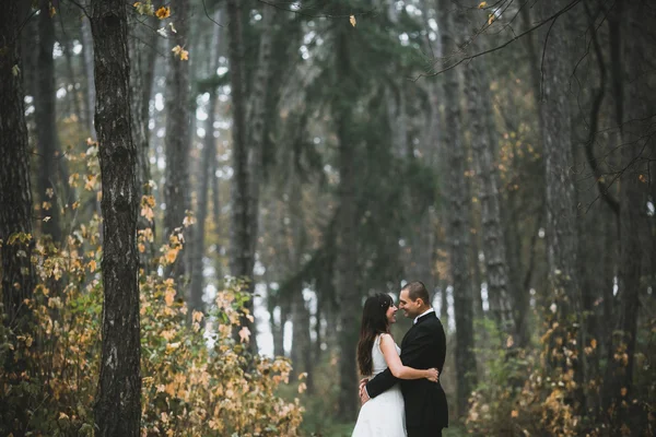 Feliz novia y novio caminando — Foto de Stock