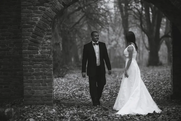 Felice sposa e sposo in posa nella foresta autunnale — Foto Stock