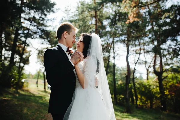 Hermosa pareja de boda posando —  Fotos de Stock