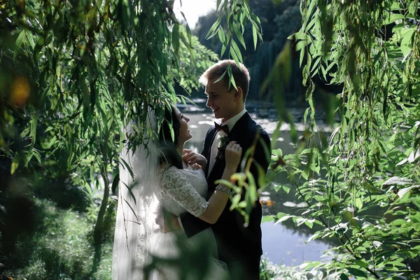 Hermosa pareja de boda abrazándose en el parque —  Fotos de Stock