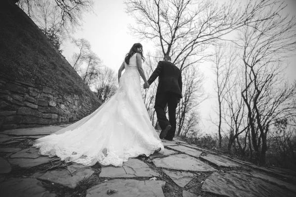Šťastný ženich a nevěsta chůzi — Stock fotografie