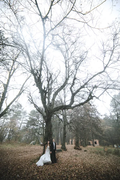 가 숲에서 포즈 하는 신랑과 행복 한 신부 — 스톡 사진