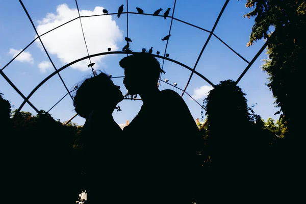 Silhouette of couple on a sky background — Stock Photo, Image