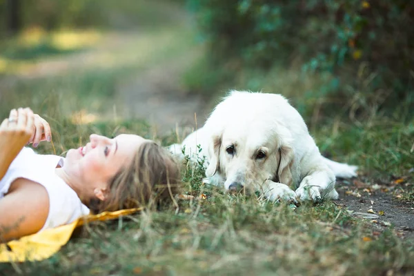 Белая собака лежит на траве — стоковое фото