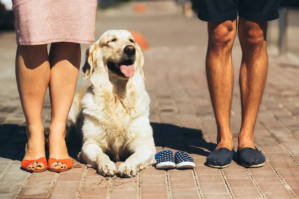 Primer plano de pies femeninos y masculinos en zapatos casuales — Foto de Stock