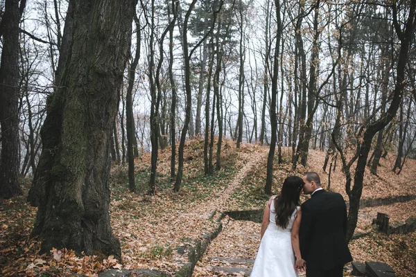 Mutlu gelin ve damat yürüyüş — Stok fotoğraf