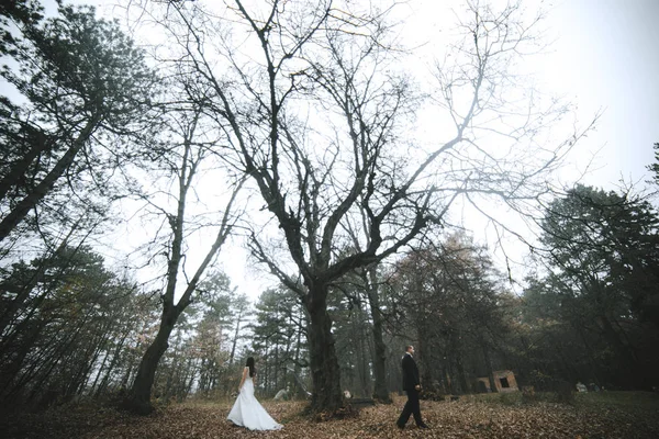 Novia feliz y novio posando en el bosque de otoño — Foto de Stock