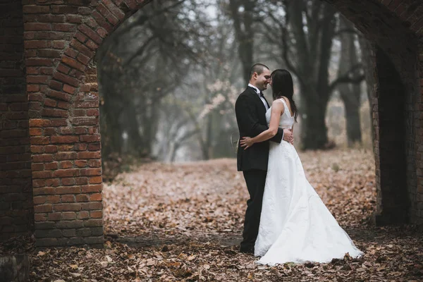 Boldog menyasszony és a vőlegény az őszi erdő pózol — Stock Fotó