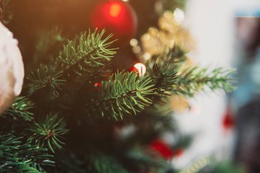 Oyuncak dolu Noel ağacı dalı