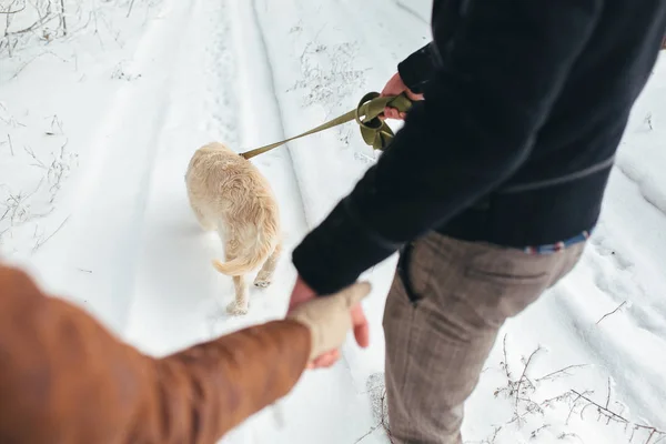 Pareja joven enamorada paseando con el perro —  Fotos de Stock
