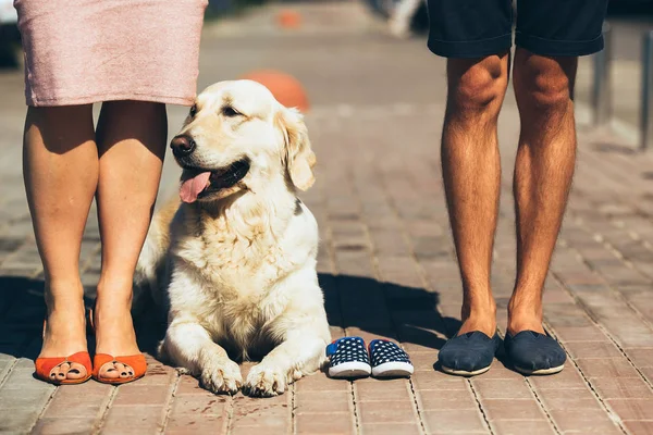 Närbild av kvinnliga och manliga fötter i skor — Stockfoto