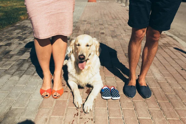 Närbild av kvinnliga och manliga fötter i skor — Stockfoto
