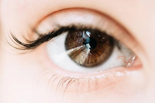 Brązowe oczy makro — Zdjęcie stockowe