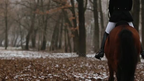 Bonita mulher posando no cavalo — Vídeo de Stock