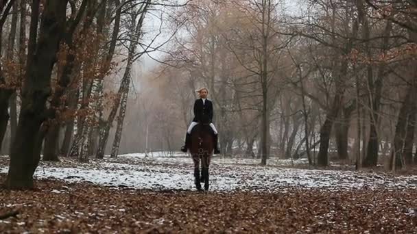 Bonita mulher posando no cavalo — Vídeo de Stock