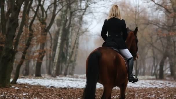 Bonita mulher posando no cavalo — Vídeo de Stock