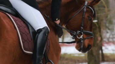 güzel kadın ata poz