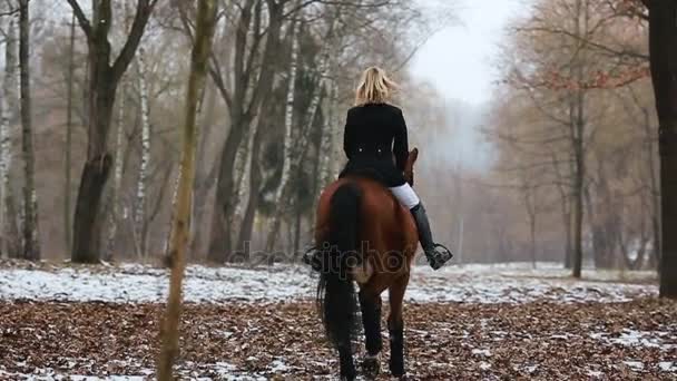 Bonita mulher posando no cavalo — Vídeo de Stock