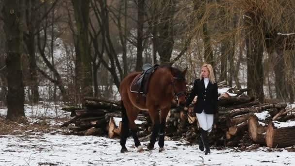Το κορίτσι και το άλογο στο πάρκο — Αρχείο Βίντεο