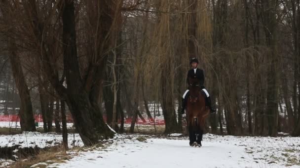 Hübsche Frau posiert auf Pferd — Stockvideo