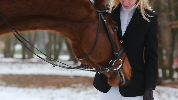 Menina e o cavalo no parque — Vídeo de Stock