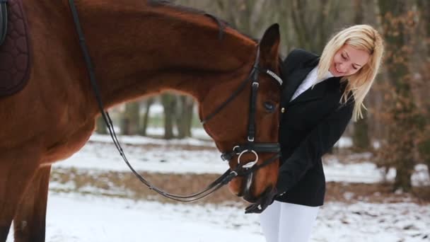 Meisje en het paard in het park — Stockvideo