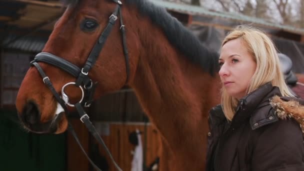 Dziewczyna, drapanie szczotka jej koń — Wideo stockowe