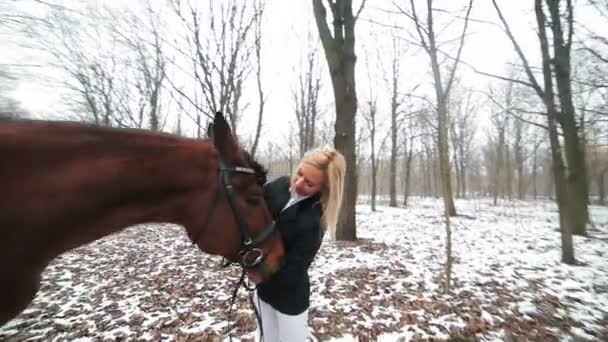 Девушка и лошадь в парке — стоковое видео