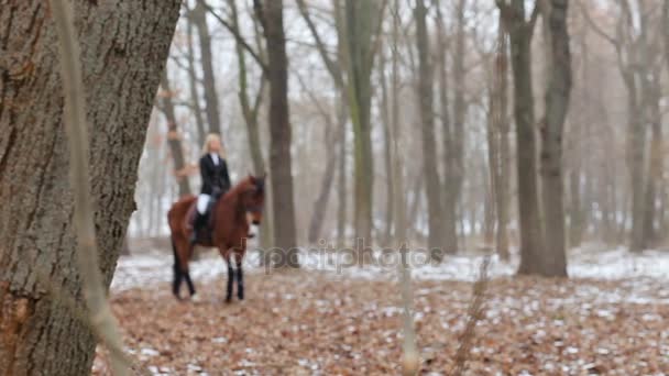 Bonita mujer posando a caballo — Vídeo de stock