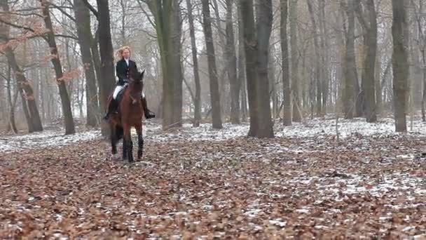 Bonita mulher posando no cavalo — Vídeo de Stock