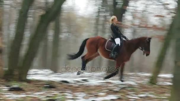 漂亮的女人对马摆姿势 — 图库视频影像