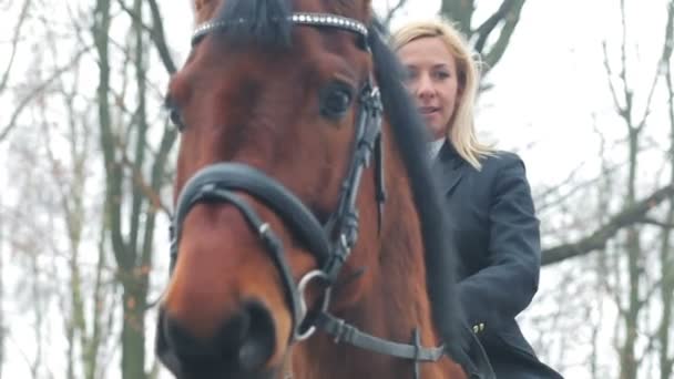 Hübsche Frau posiert auf Pferd — Stockvideo