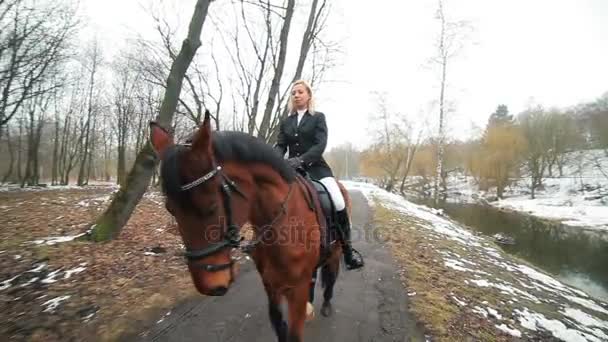 Mooie vrouw die zich voordeed op paard — Stockvideo