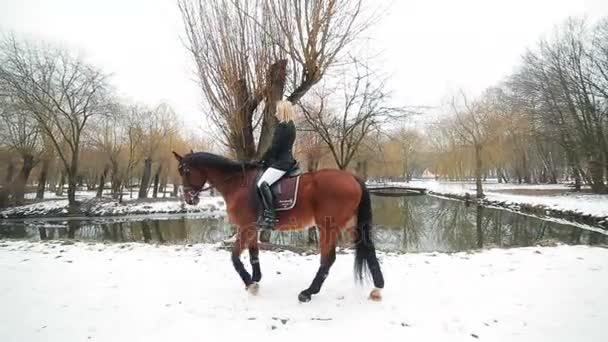 Bonita mujer posando a caballo — Vídeos de Stock