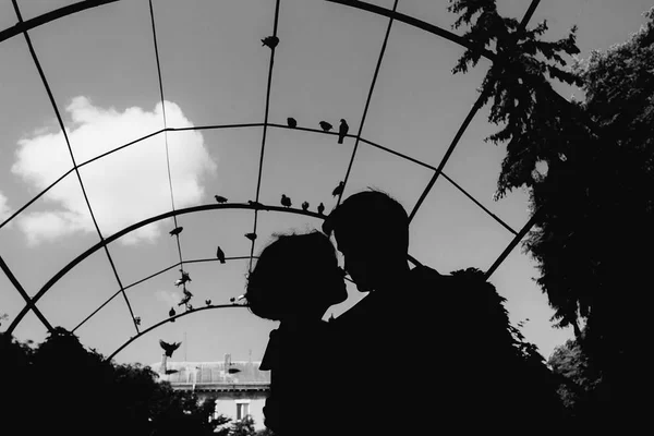 Silhouette of couple on a sky background — Stock Photo, Image