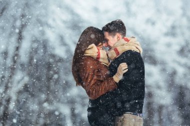 Mutlu çift kar Park