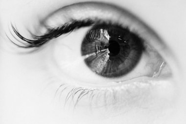 kahverengi göz makro