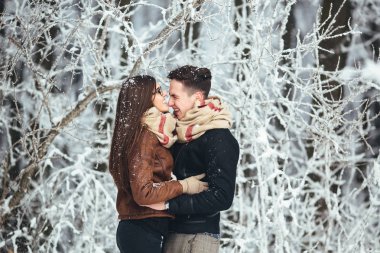 Mutlu çift kar Park