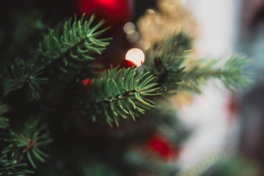 Oyuncak dolu Noel ağacı dalı