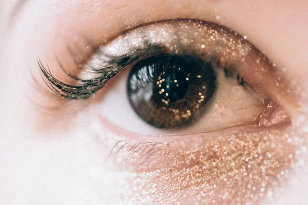Augenbrauen-Make-up — Stockfoto