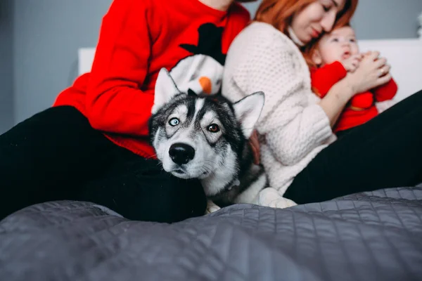 Familia feliz con bebé recién nacido en la cama — Foto de Stock