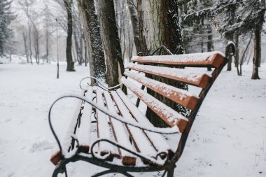 kar ve buz ile ahşap Bank.