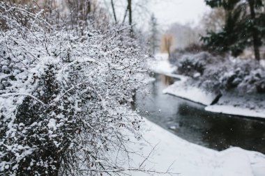 Frost'un ağaçlar kış, orman ve nehir üzerinde