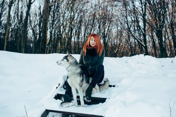 红头发的女孩和一条狗 — 图库照片