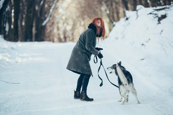 Vacker flicka med hund Husky i snöiga skogen — Stockfoto