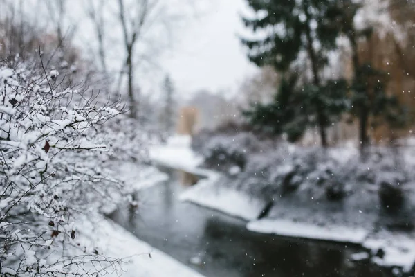 Las heladas en los árboles en invierno, el bosque y el río —  Fotos de Stock