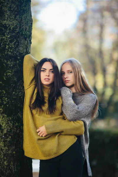 Due ragazze in posa nel parco — Foto Stock