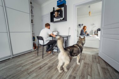 Dizüstü bilgisayar, anne ve bebek yatağı baba çalışıyor