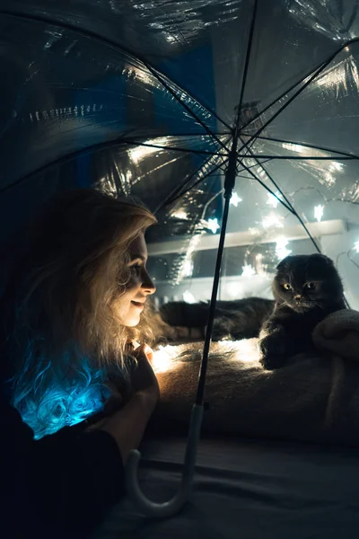 Кошка и женщина под зонтиком с гирляндами — стоковое фото
