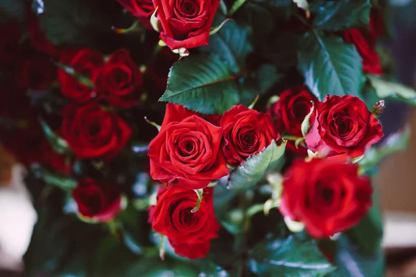 Свіжі розрізані червоні троянди лежать на столі — стокове фото